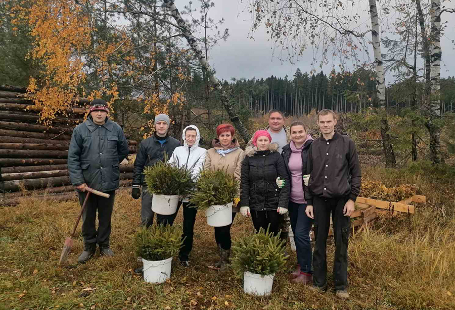 Чаусский лесхоз